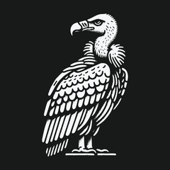 Fototapeta premium A striking black and white graphic illustration of a vulture standing in profile.