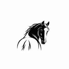 Majestic Black and White Horse Head Turning Backwards.