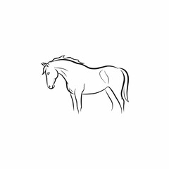 Elegant horse sketch showcasing graceful posture and refined lines on white background.