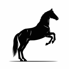 Dynamic black silhouette of a powerful horse rearing up.