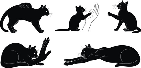 Black cat illustration, playful and grooming poses, human interaction, expressive feline behavior, pet concept, white background, minimal design, posture study