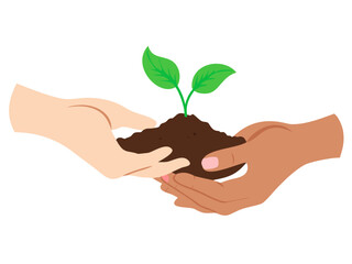Human hands cradle a small, green plant seedling, symbolizing new life, growth, and the care for nature and the environment