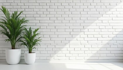Two potted plants on white floor in front of white brick wall. Large, small plants with green long leaves in white pots. Natural light falls from window, shadows on wall. Modern interior design with