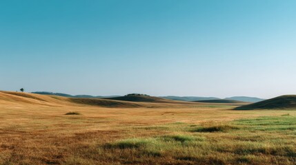 Fototapeta premium Golden rolling hills and grasslands stretch under a vast clear blue sky