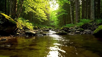 A tranquil river flows through a vibrant green forest bathed in golden sunlight. Lush trees, mossy rocks, and sparkling water create a serene natural landscape, perfect for relaxation and environmenta