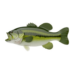 A detailed realistic illustration of a largemouth bass fish isolated on transparent background
