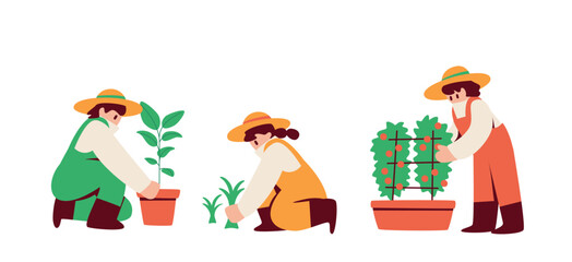 People who enjoy gardening Potted plants, repotting, planter cultivation