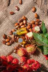 Castor oil and fruits in bowl on the table, Ricinus communis