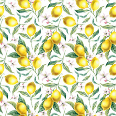 Lemon branch with leaves and flowers seamless pattern on a white background. Botanical illustration hand-drawn in watercolor. Tropical citrus fruits, juicy bright fruits for decorating postcards