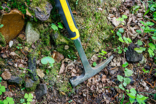 Geologist's rock hammer with a yellow and black handle resting on mossy forest floor with small green sprouts and fallen leaves