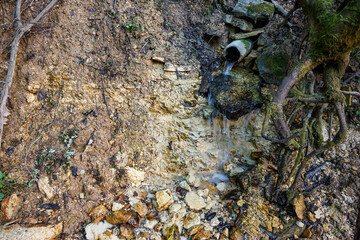 Man-made spring outlet trickling down a mossy, earthen hillside with exposed rocks and tangled roots