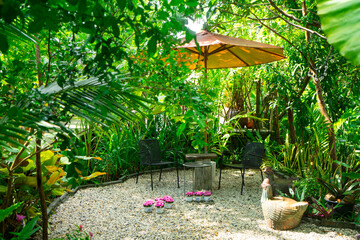 Outdoor living with chair and table around with tree with Anacampseros rufescens is pink flowers in a white-potted, small succulent plant blooming on white gravel background.