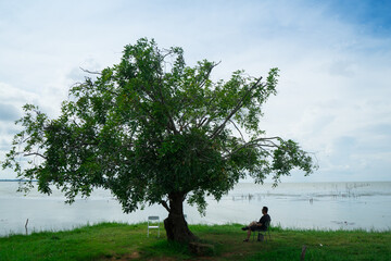 Alone man to sit under the big tree near the lake with cloud and blue sky background. Lonely to waiting for someone.