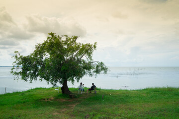 Lover sitting under the big tree near the lake .Couple tourist to relax on holiday with cloud and yellow sky background on the  sunset.