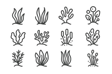 Simple outline icons collection featuring various types of underwater plants and marine algae