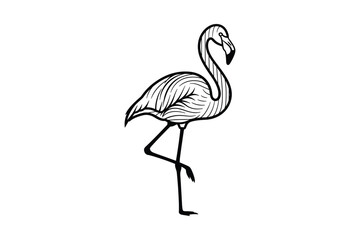 Graceful flamingo line art standing on one leg, a beautiful tropical bird illustration