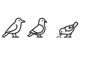 Obraz premium Collection of minimalist outline icons depicting small birds standing, walking, and pecking for food