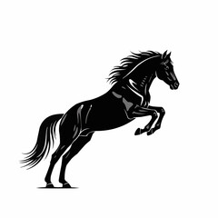 Majestic Black Horse Rearing Up in Dynamic Pose.