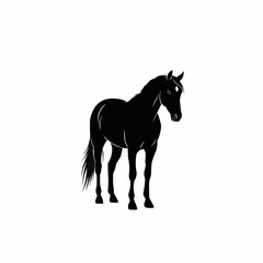 Elegant black horse silhouette standing still vector graphic.