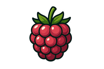 Bright red raspberry fruit with green leaves and stem isolated on white