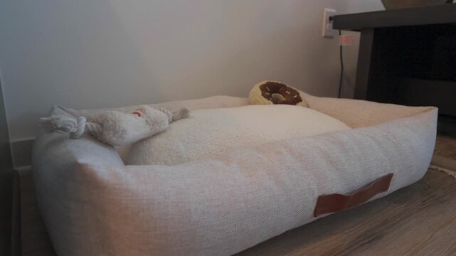 Close Up of Beige Dog Bed with Rope Toy and Donut on Wooden Floor