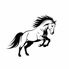 Powerful black and white stallion rearing up illustration.