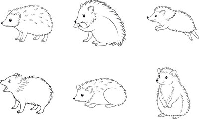 Different poses of hedgehogs blank line art set vector