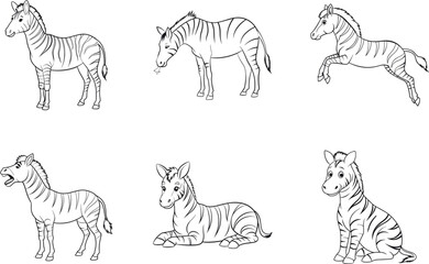 Different poses of zebras black line art set vector