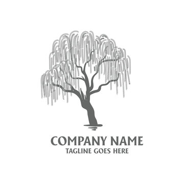 Natural Weeping Willow Tree Silhouette Logo Vector Botanical Resilience