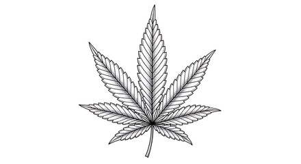 Detailed cannabis leaf botanical illustration