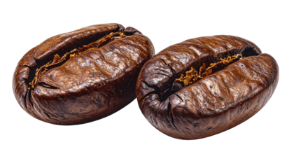 Dark roasted coffee beans isolated on white background, showing rich texture and natural glossy surface, captured in a detailed macro shot that highlights aroma, freshness, depth, and authentic coffee