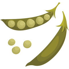 Two Ripe Green Pea Pods One Open Showing Round Peas And Three Loose Peas Isolated On White Background With Simple Flat Design Style