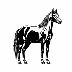 Elegant black and white horse standing proudly in profile, detailed illustration.