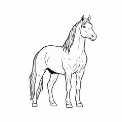 Elegant black and white line drawing of a standing horse.