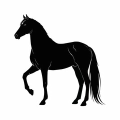 Elegant Black Horse Silhouette with Raised Leg in Profile.