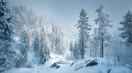 A serene winter wonderland scene with snow-laden trees and a soft, ethereal atmosphere, perfect for the season.