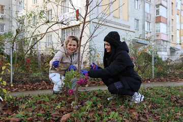 Two women tending to a flowerbed outside