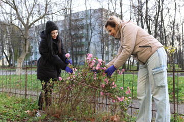 Two women tending to a flowerbed outside