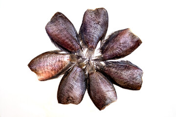 Close up of Dried Salid Fish or Gourami Fish Isolated White Background.