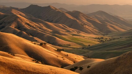 Golden rolling hills bathed in warm sunset light, with sparse trees dotting the verdant valleys. Concept Golden Hills, Warm Sunset Light, Verdant Valleys, Sparse Trees, Rural Landscape