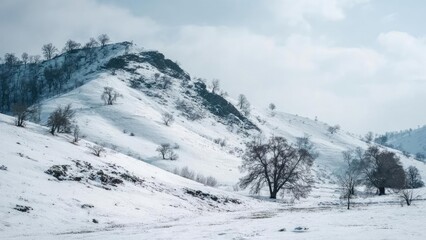 Snow-covered hills with leafless trees scattered across rolling slopes and a rocky outcrop under a pale blue sky. Concept Winter landscape, Snow-covered hills, Leafless trees, Rocky outcrop