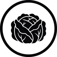 Illustrator Fresh cabbage vegetable healthy food ingredient Silhouette vector