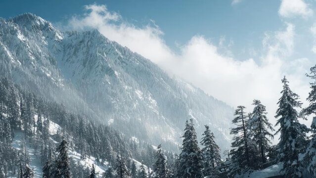 Snowy alpine landscape with tall evergreen trees on a snow-covered slope and misty mountains under a clear blue sky. Concept Snowy Alpine Landscape, Tall Evergreen Trees, Snow-Covered Slope