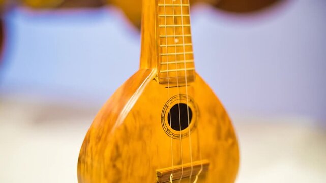 Side view of a wooden stringed instrument with a detailed, textured surface