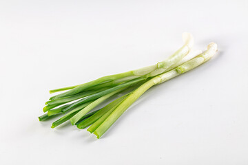 Young fresh juicy green onion