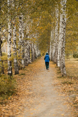 Obraz premium Autumn park. Walk in the autumn forest. Golden autumn. Beautiful view.