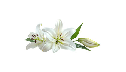Obraz premium Close-up of a beautiful bouquet of white lilies of the valley on a white background