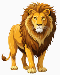 Lion real, full body , white background	