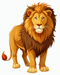 Lion real, full body , white background	