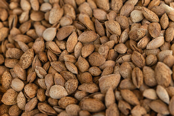 Unshelled almonds densely packed with rough textured perforated brown shells